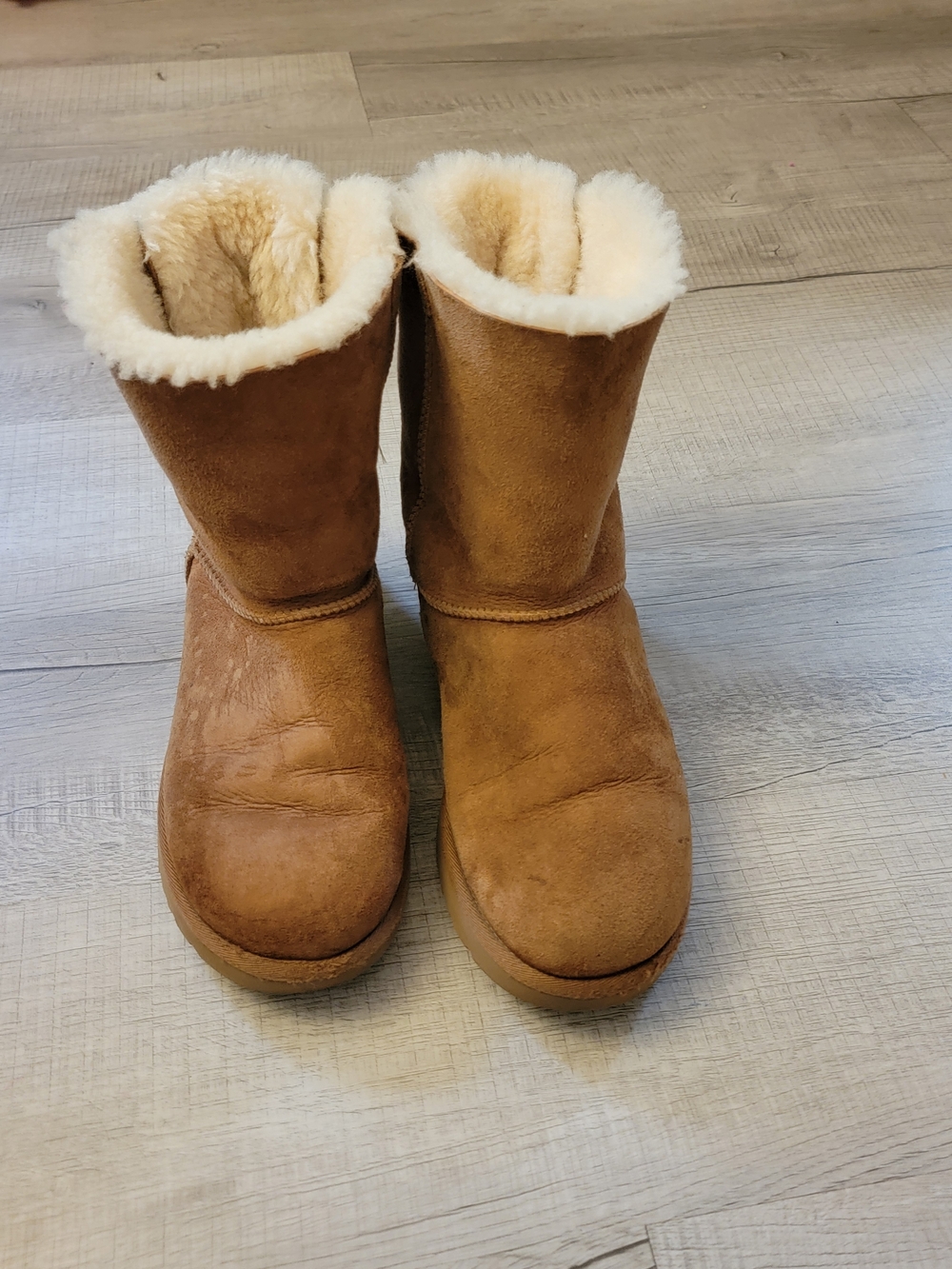 UGG Classic Short Suede Boots in Chestnut with Cream Shearling